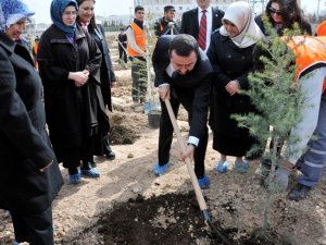 Selçuk Üniversitesi’nde “2015” Fidan Dikildi