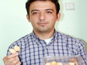 Yer kirazı yetiştirildi