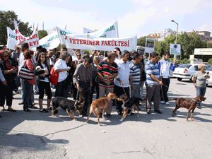 ‘Çocuklar doğadan kopuyor’