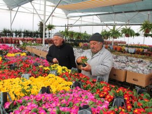 Fidan dikimi başladı