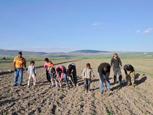 İşçilerin kullandığı su sorun oldu