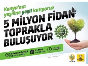 2015'te 5 Milyon fidan toprakla buluşuyor