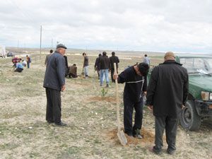 Emirgazi’de fidan dikimine başlandı