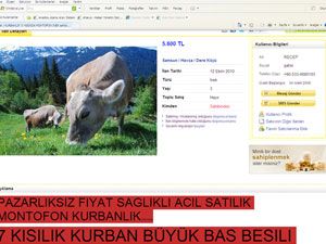 İnternetten ‘muhayyer kurbanlık’ satışı