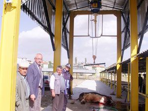 Seydişehir'de kurbanlıklar pazarda kesilecek