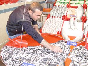 Hamsi ile domatesin fiyatı rekor kırıyor