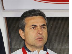 Kocaman şark kurnazı