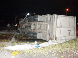Zeytin yüklü kamyon devrildi: 3 yaralı