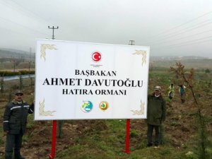 Başbakan Davutoğlu Hatıra Ormanı Oluşturuldu