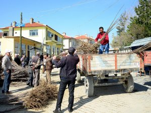 Tüm İlçelere Tarımsal Destek