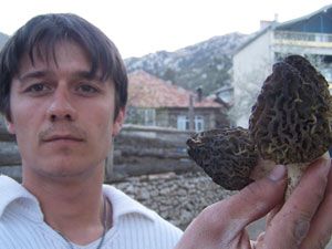 Mantar zehirlenmeleri arttı