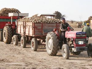 Şeker pancarı taşıyan traktörler takip altında