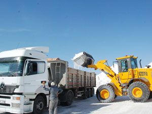 Tuz Gölü'ndeki üreticiler dünyaya açılmak istiyor