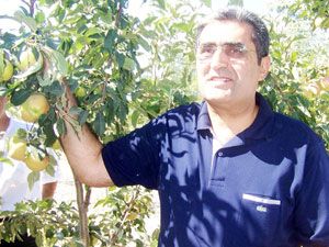 Şeker’den 1 milyon fidan