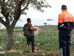 Tavşanların imdadına jandarma yetişti