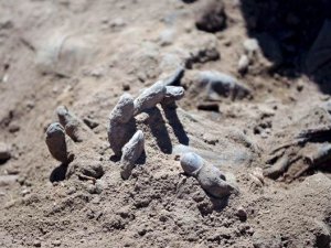Tikrit'te 12 toplu mezar bulundu