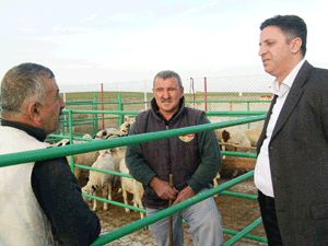 Cihanbeyli’de kurbanlık pazarları denetleniyor