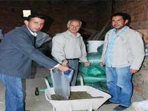 Çiftçilere, fareyle mücadele için zehirli buğday dağıtıldı