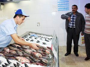 Kilosu 1 lira olan sazan balığına yoğun ilgi