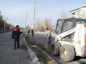 Seydişehir'de ağaçlandırma çalışmaları sürüyor