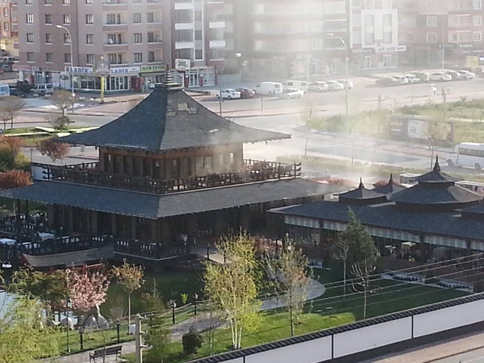 Japon Parkı'nda yangın korkuttu