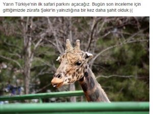 Türkiye'nin ilk Safari Parkı Gaziantep'te açıldı