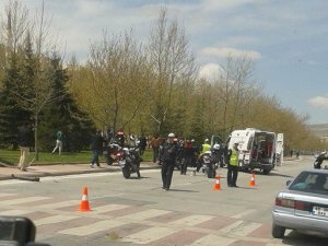 Yunuslar kazaya karıştı