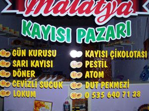 Seydişehir’de Malatya Kayısı Pazarı açıldı