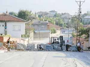 Ladik, sezonu 17 bin metrekare ile tamamladı