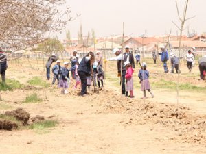 Karatay'da ağaçlandırma çalışmaları