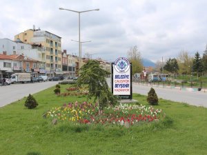 Beyşehir’de 60 Bin Lale Soğanı Dikildi