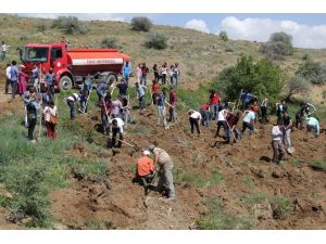 Fü Öğrencileri Fidan Dikti