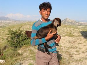 Sarıkeçili Yörüklerinin Konya'ya Göçü Başladı