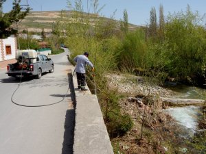 Meram’da haşereyle mücadele başladı