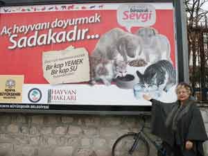 Sokak hayvanları için afişli mesaj