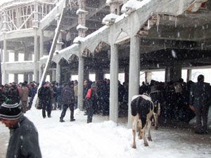 Fabrika gibi yatırım