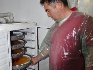 Alabalıklar el masajıyla sağılıyor