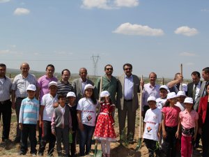 Cihanbeyli’de 2 Bin Ağaç Dikildi