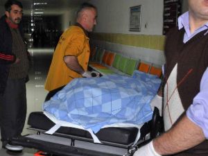 Yolun karşına geçmek isterken öldü