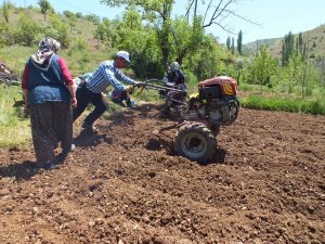 Toroslar'da eşeğin yerini "pat pat" alıyor