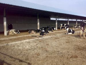 Altınekin İlçesi'nde 117 yeni işletme kuruldu