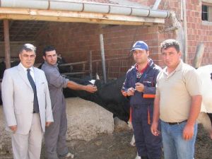 Ereğli’de şap aşı kampanyası