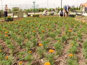 Karatay'da parklar çiçeklerle donatıldı