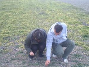 Karapınar'da CROP-MAL projesi sürüyor