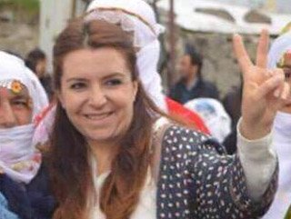 HDP'li kadın milletvekili korucuları tehdit etti