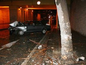 Otomobil ağaca çarptı iki kardeş yaralandı