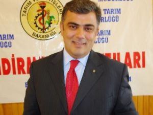 Çiftçilere tarla faresi uyarısı