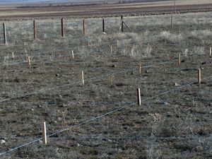Karatay, Selçuklu ve Meram’da kamu arazileri satışa çıkarıldı