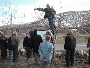Akören'de elma yetiştiriciliği kursu