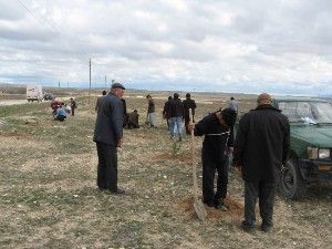 Çanakkale Şehitleri anısına bin 18 çam fidanı